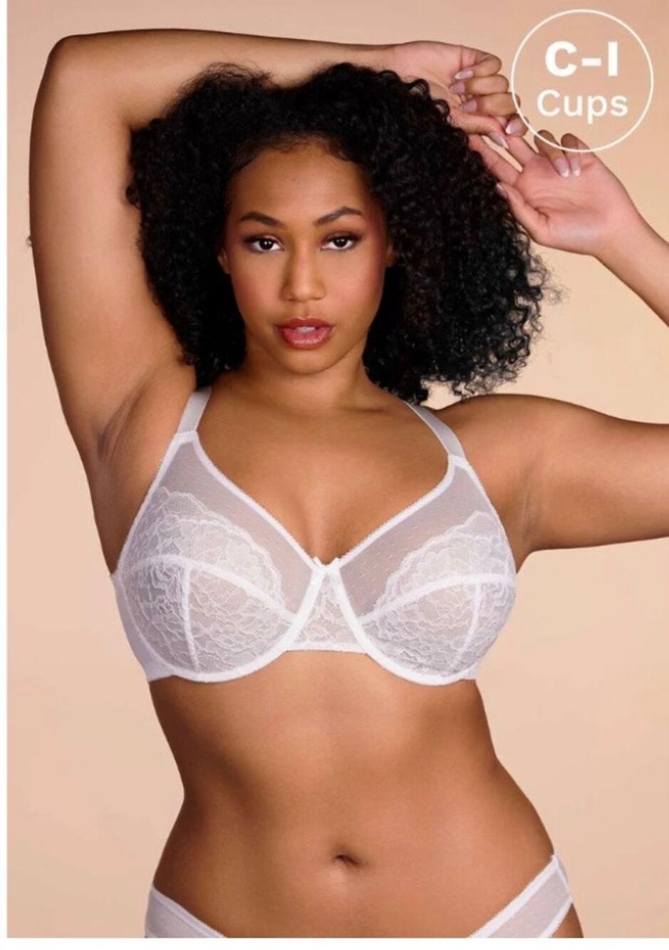 HSIA Enchante White Lace Underwire Bra 42DD Full Coverage Sheer Mesh NWT